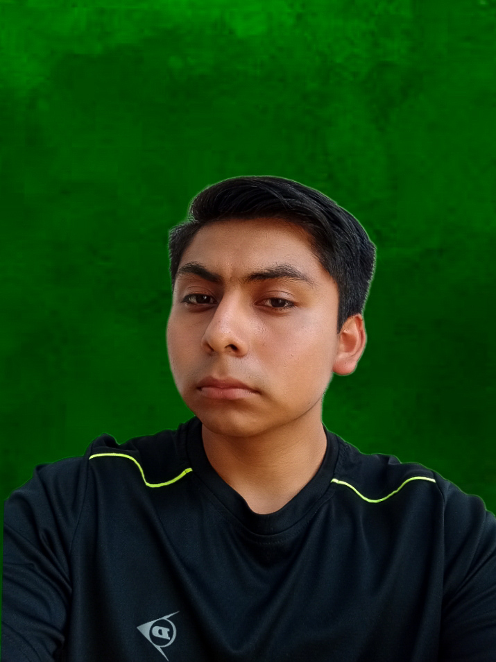 Lizandro Antonio Santos, desarrollador web